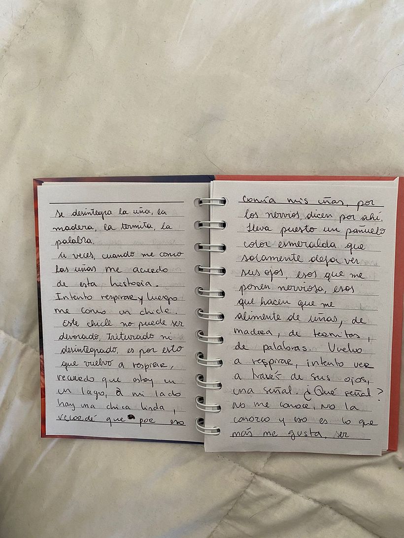 Talleres de Cine y Artes 2023-2025 2