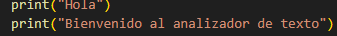 Analizador de texto básico con Python 1