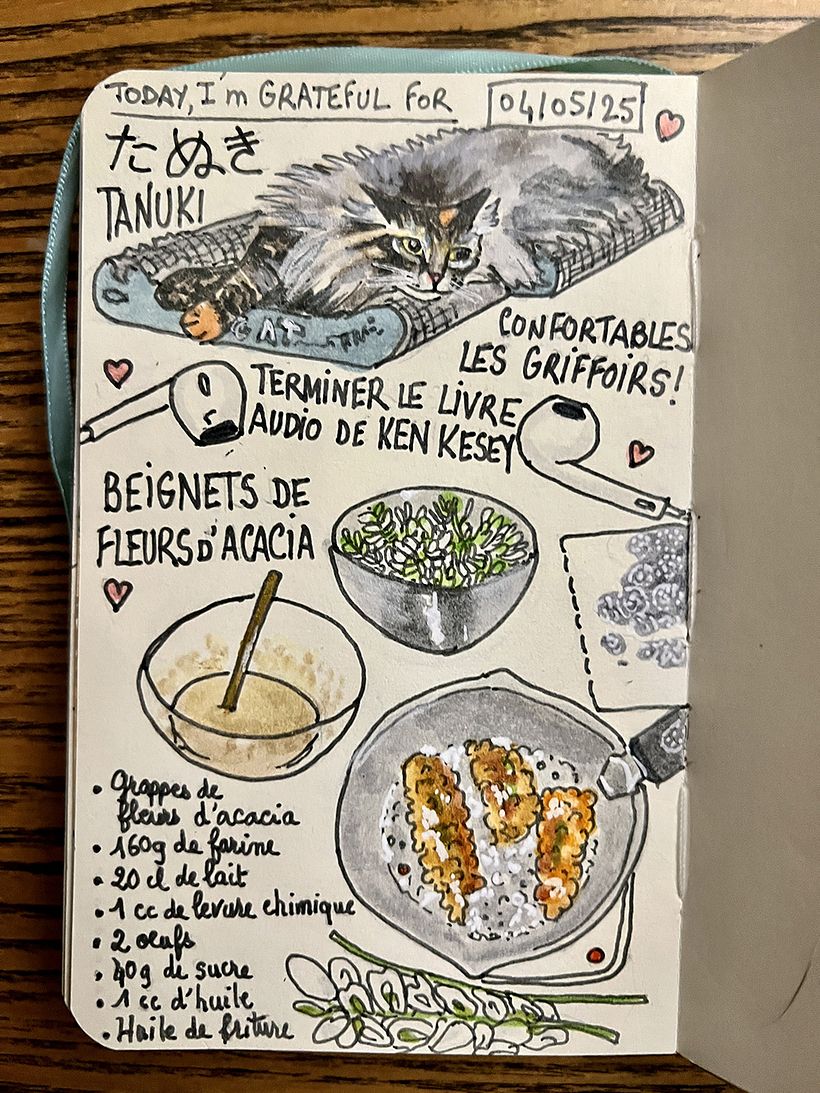 Carnet de gratitude : May 2025 sketchbook 1