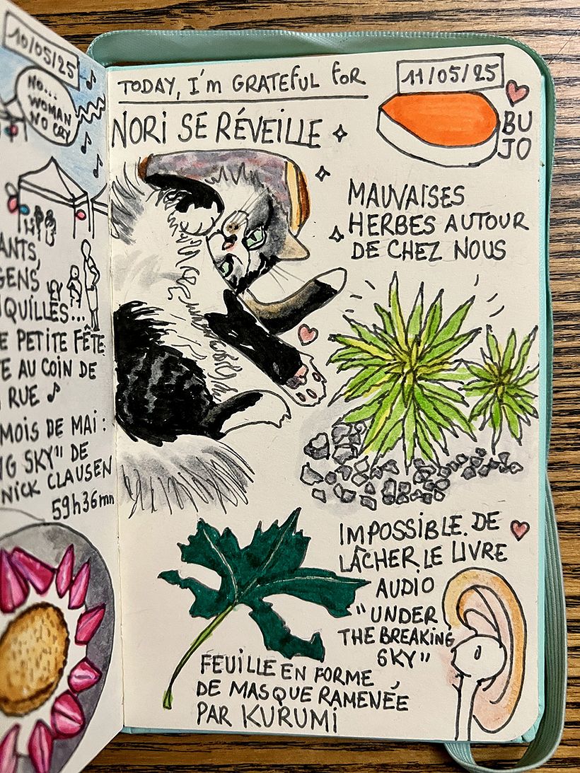 Carnet de gratitude : May 2025 sketchbook 1