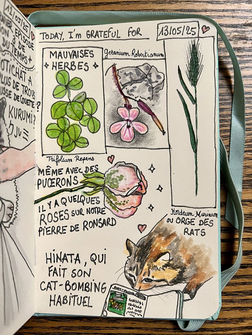 Carnet de gratitude : May 2025 sketchbook 1