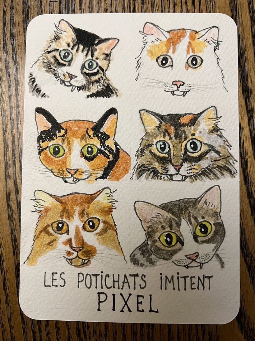 Carnet de gratitude : May 2025 sketchbook 1