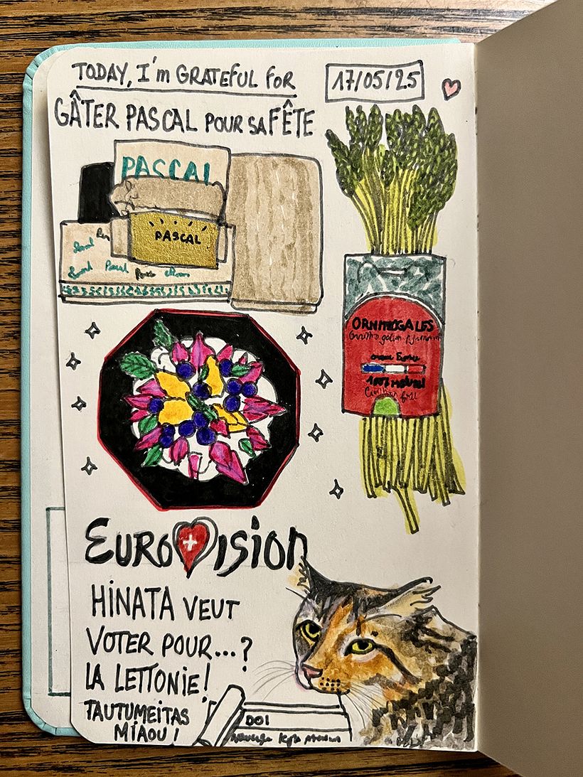 Carnet de gratitude : May 2025 sketchbook 1