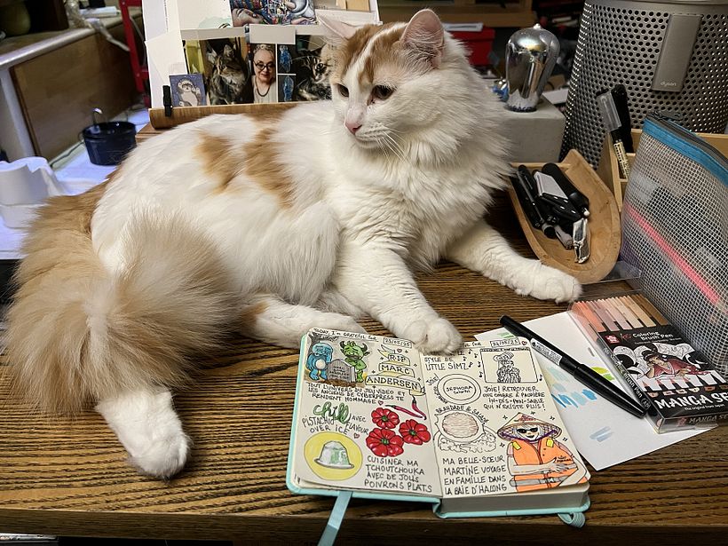 Carnet de gratitude : May 2025 sketchbook 1