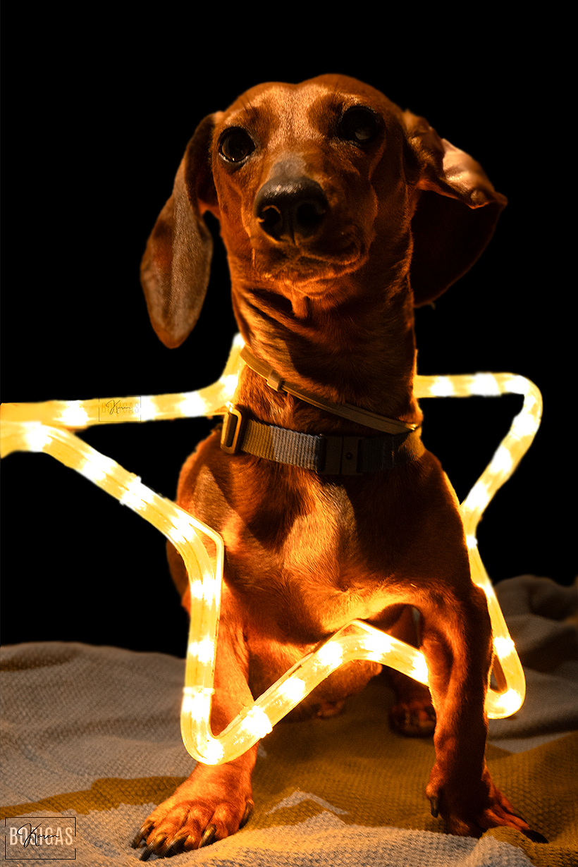 Una modelo exclusiva. 2