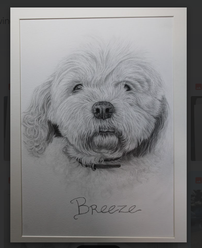 Breeze and Ruffles 1
