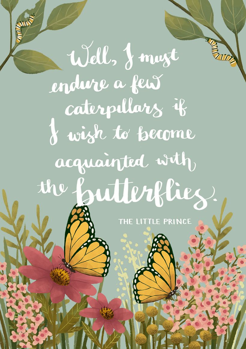 From Caterpillars to Butterflies 1