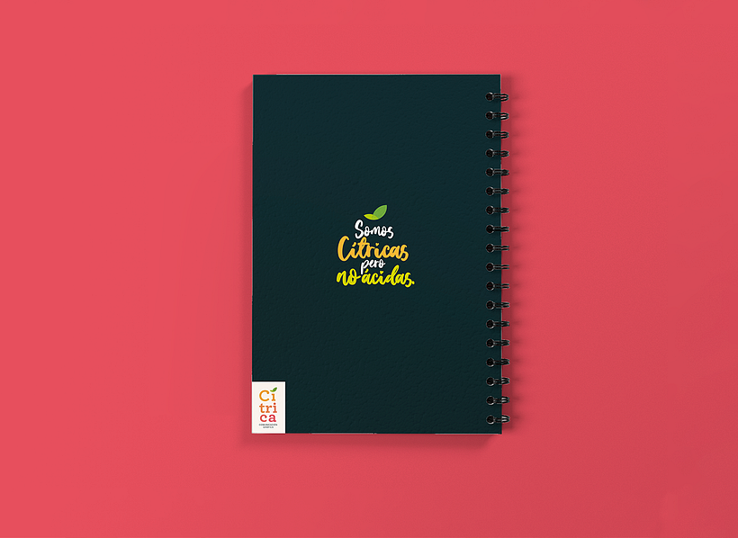 Cuadernos Cítricas 2