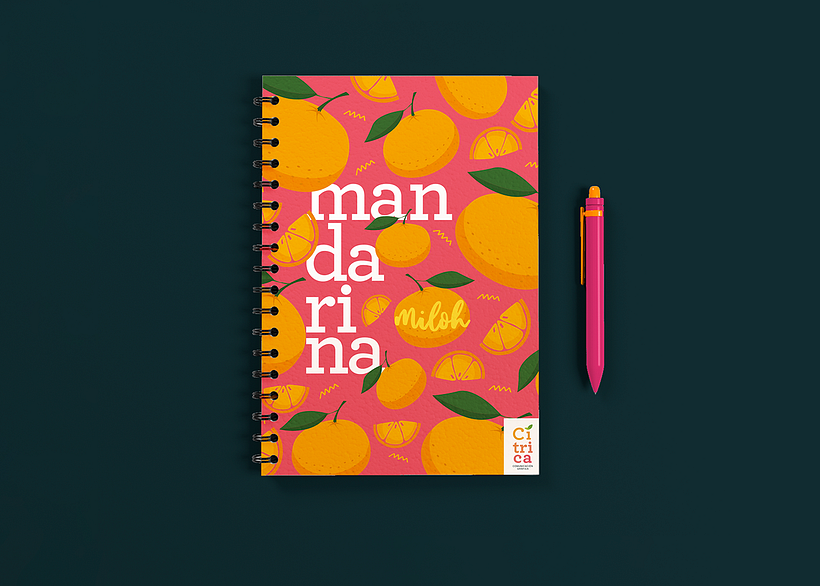 Cuadernos Cítricas 1