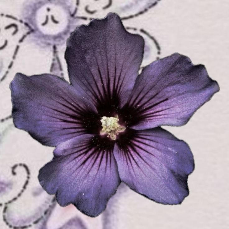 Whimsical purple set  3