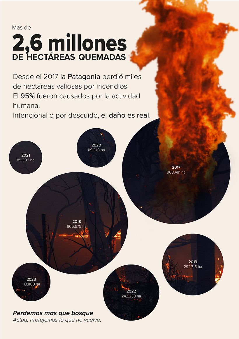 Incendios forestales 2