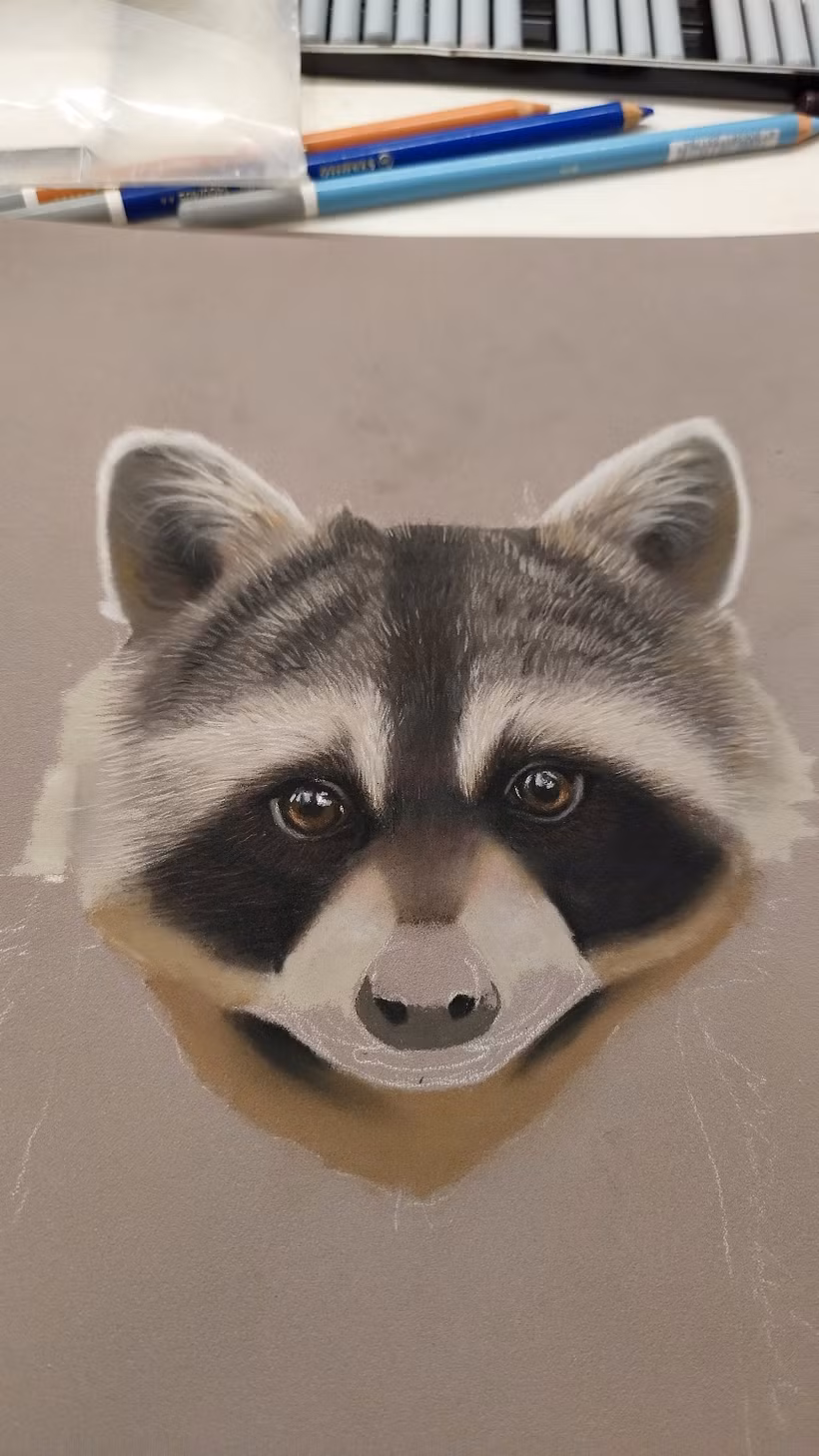 Mapache en pastel 1