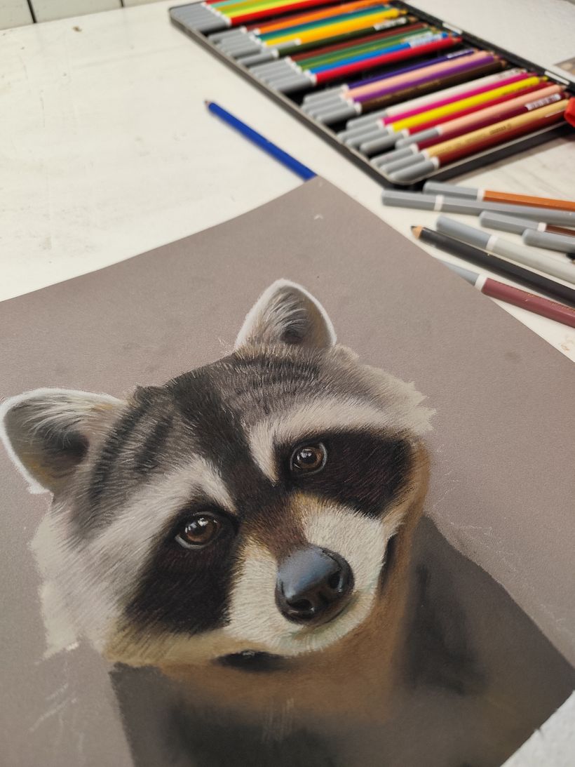 Mapache en pastel 1