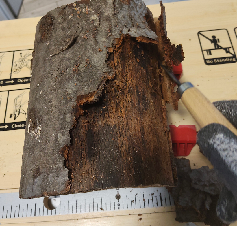 Lámpara de madera 1