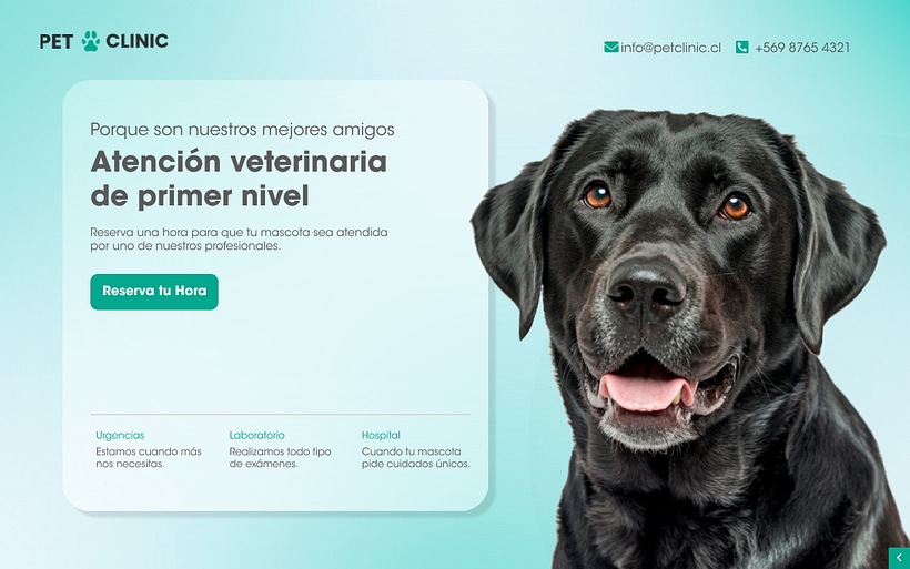Pagina Veterinaria 1