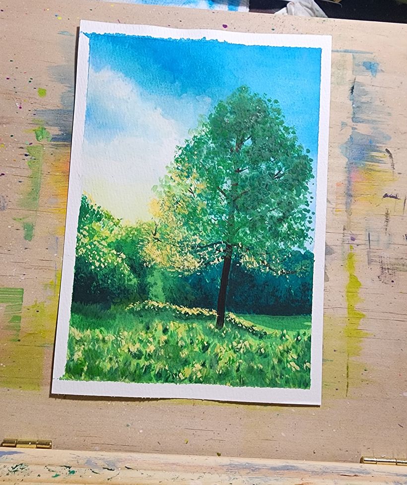 Sunlit tree in field 1