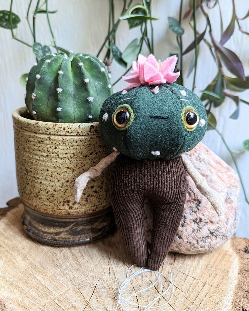 Cactus Characters 1
