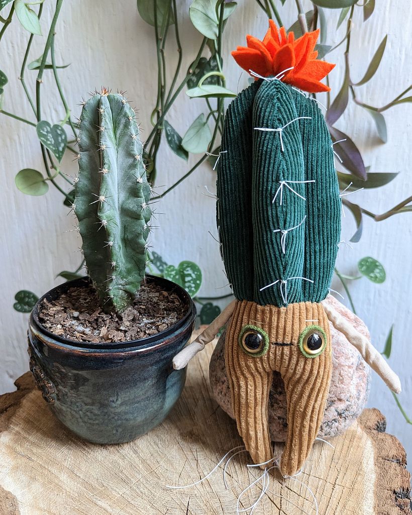 Cactus Characters 1