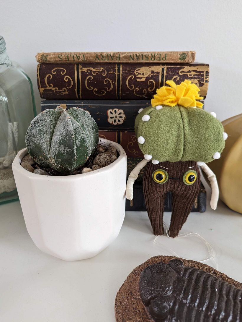 Cactus Characters 1
