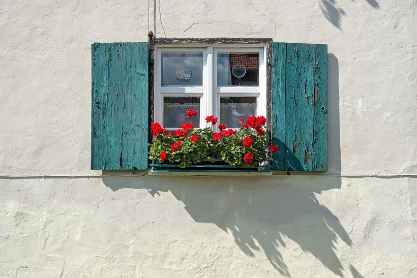 The Opened Window 1