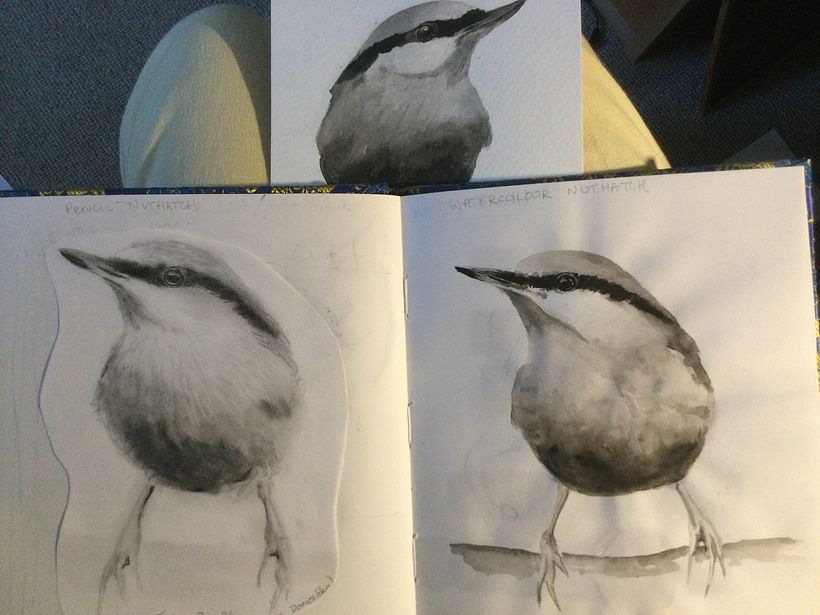Sarah Stokes Birds Course 1