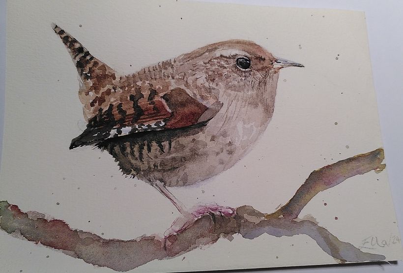 Sarah Stokes Birds Course 2