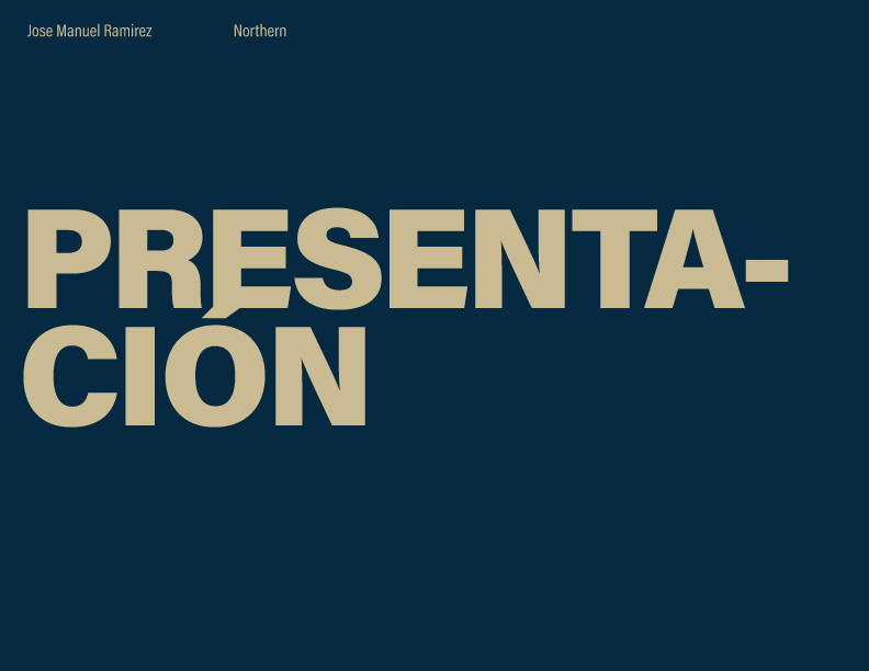 NORTHERN real state solutions 1