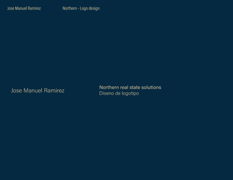 NORTHERN real state solutions 1