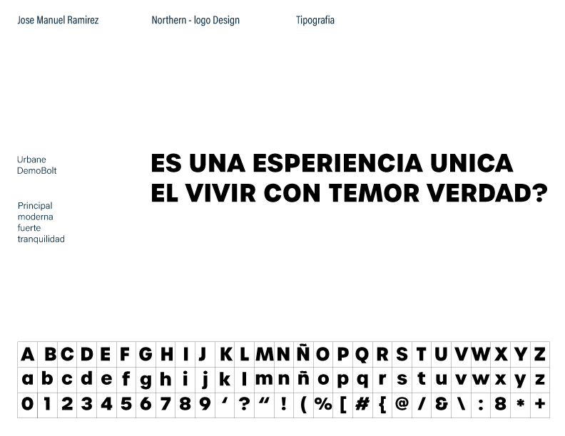 NORTHERN real state solutions 1