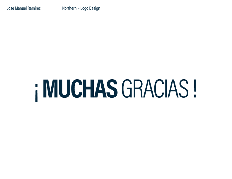 NORTHERN real state solutions 1