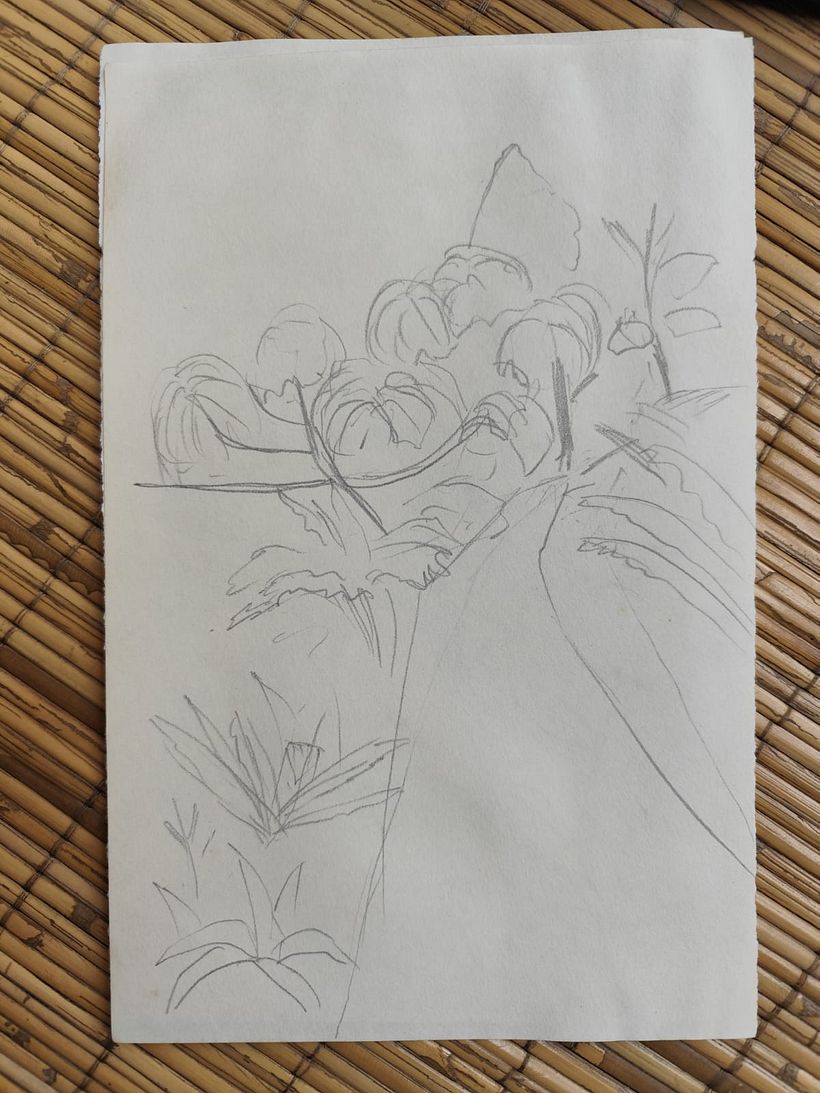 Tropical Path 1