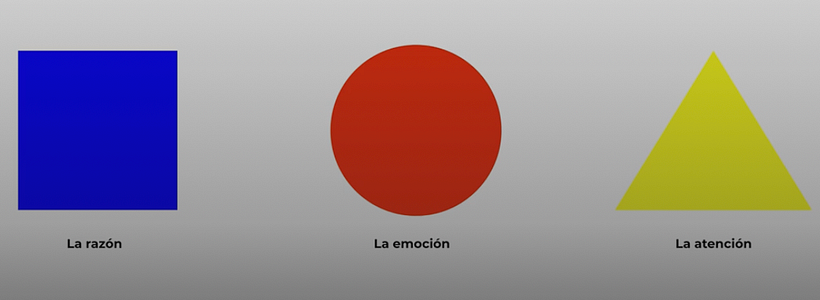 Creación de identidad 1