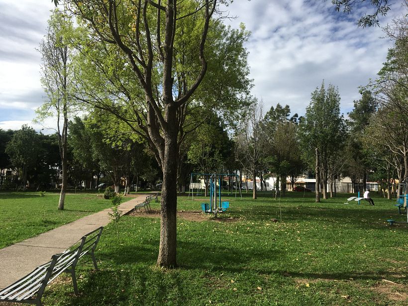 El Parque del Paseo 1