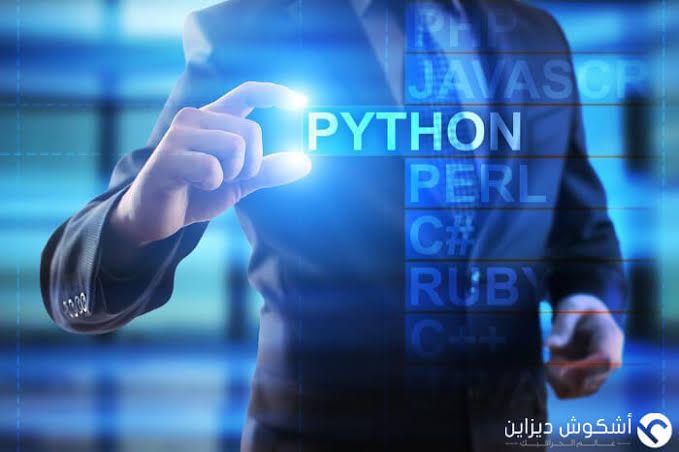 Python Basics and Applications: Your Key to Entering the Technical Job Market 1