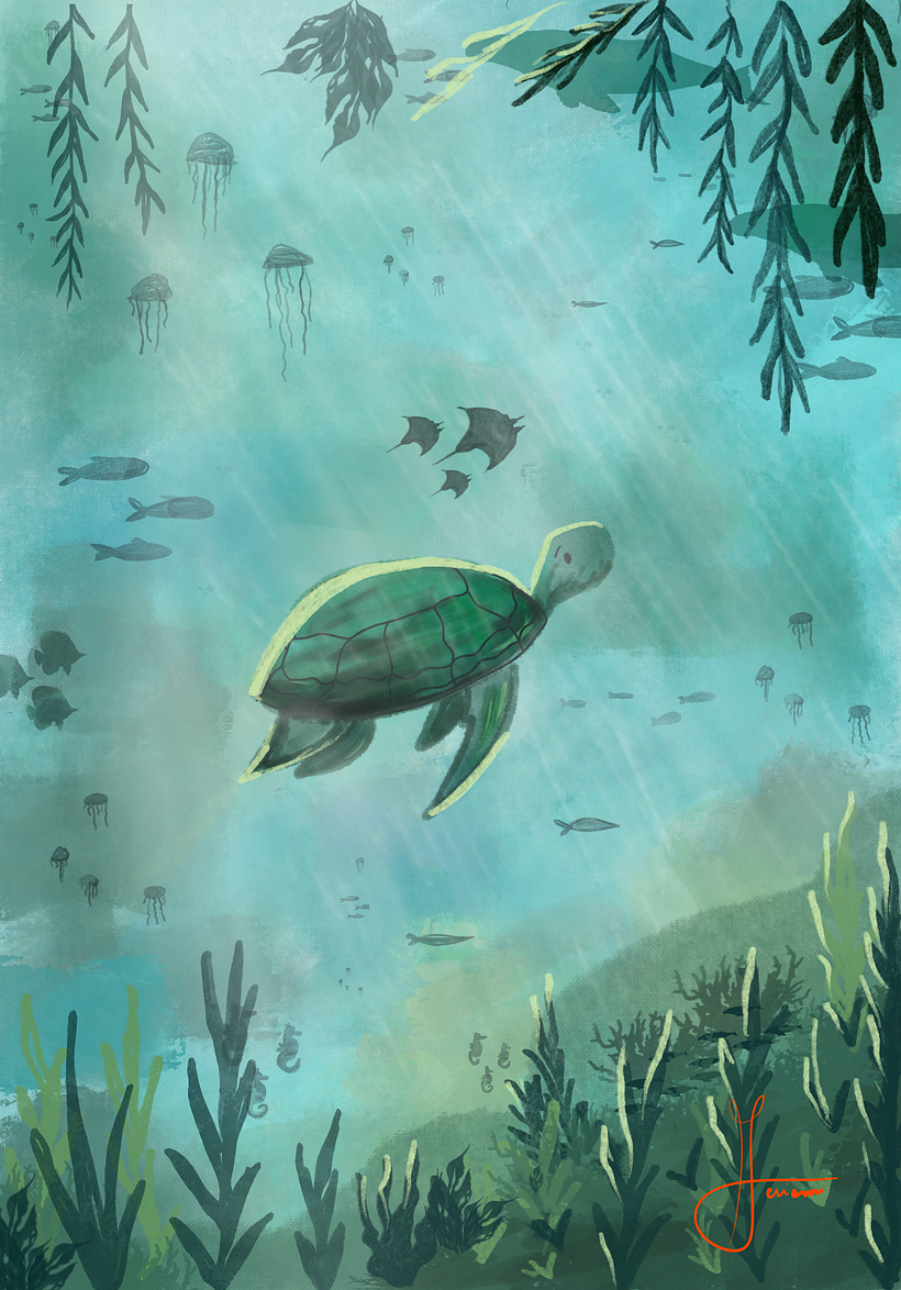 Beneath the Light: A Turtle’s Journey 1
