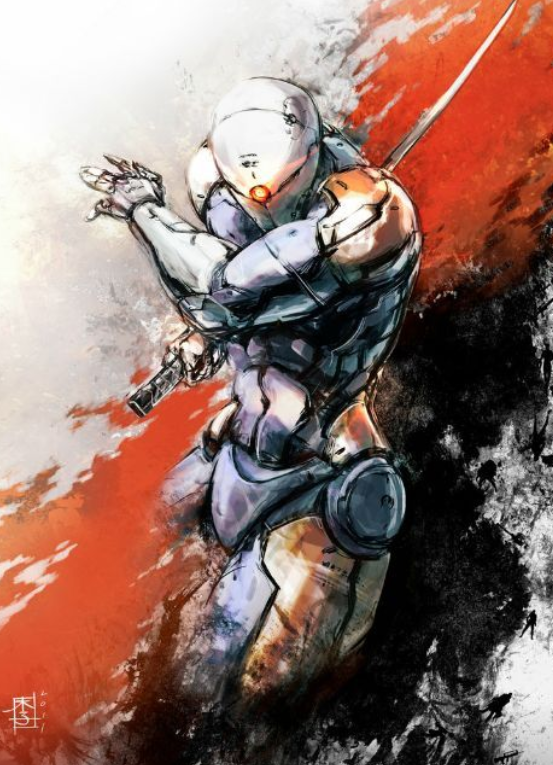 Gray Fox 1