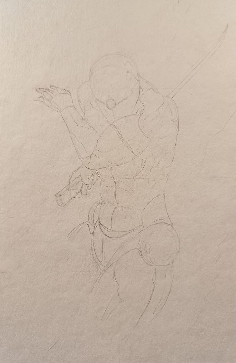 Gray Fox 1