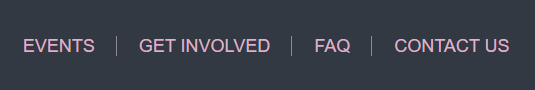 A-eye Foundation Website 1