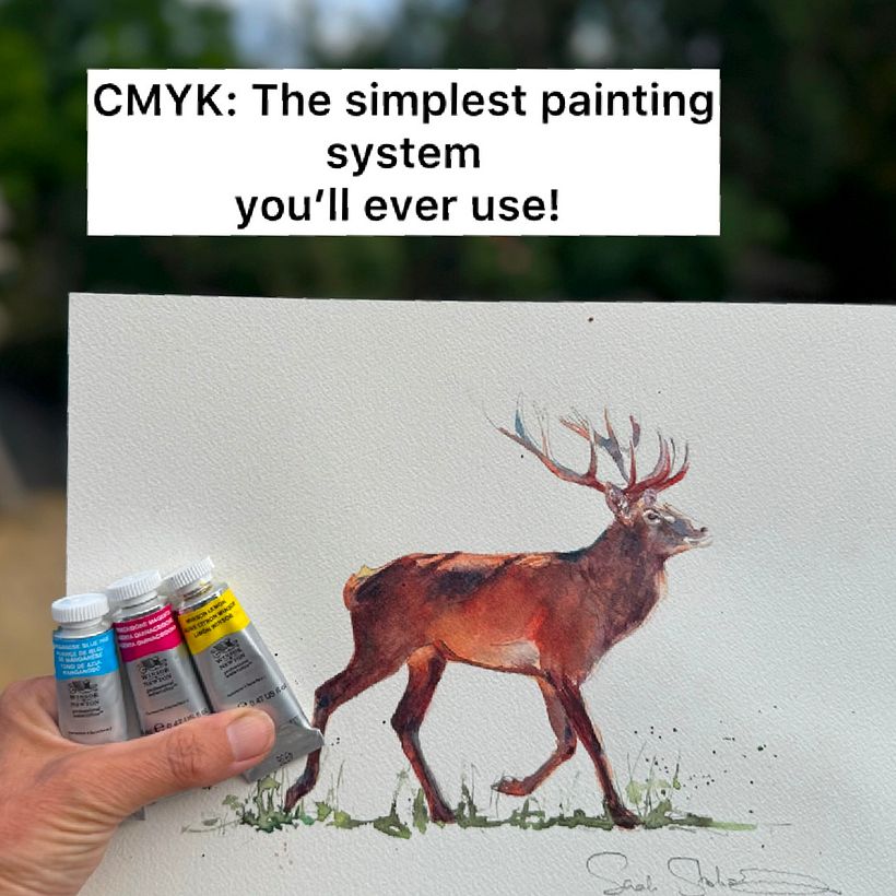 🥳Free video of a watercolour Stag painted in CMYK 1