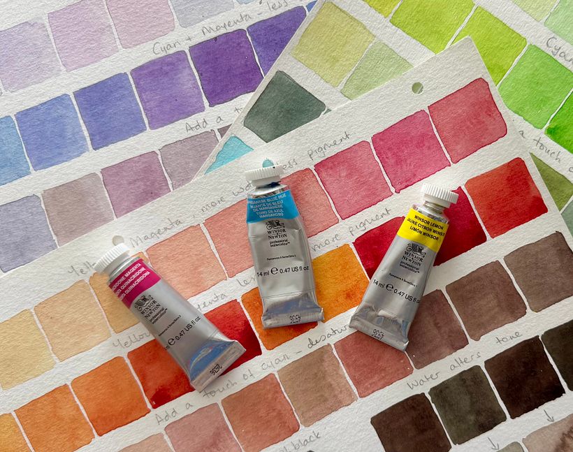 🥳Free video of a watercolour Stag painted in CMYK 1