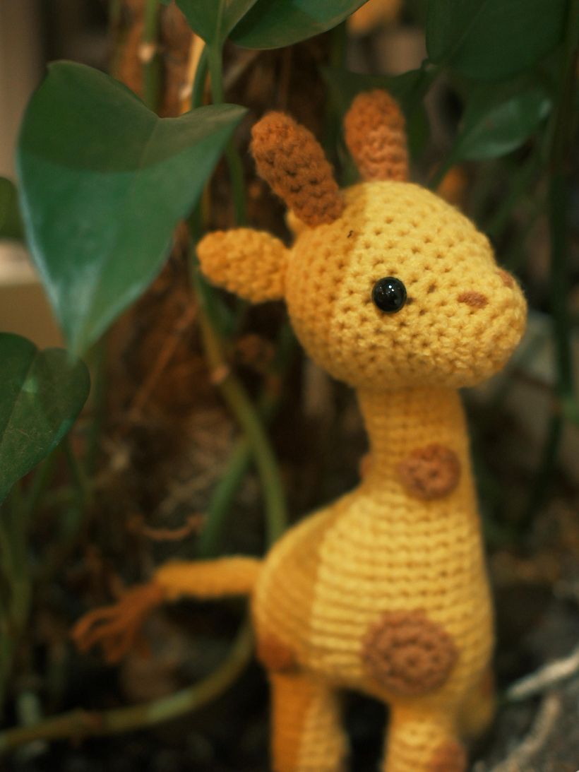 Giraffe 1