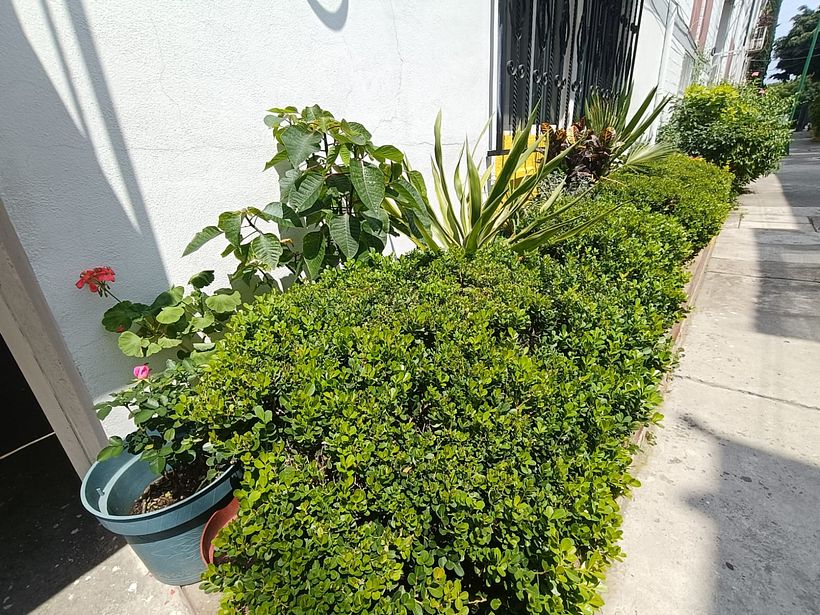 Jardinera conmas vida 1