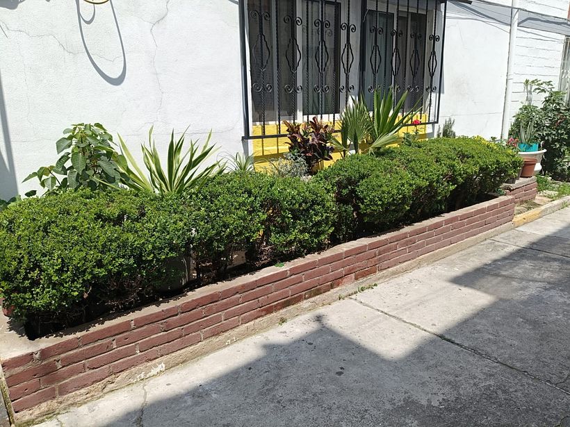 Jardinera conmas vida 3