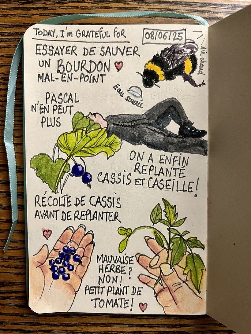 Carnet de gratitude : June 2025 sketchbook 1