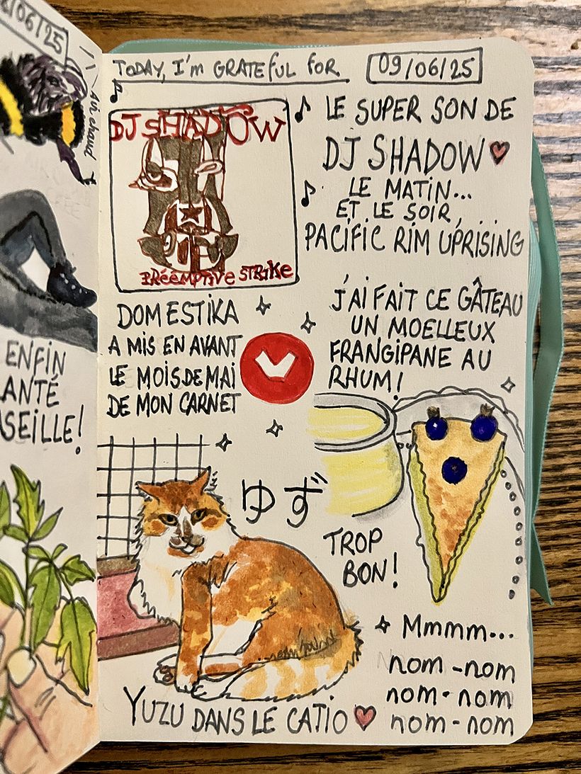 Carnet de gratitude : June 2025 sketchbook 1