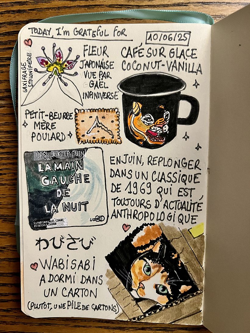 Carnet de gratitude : June 2025 sketchbook 1