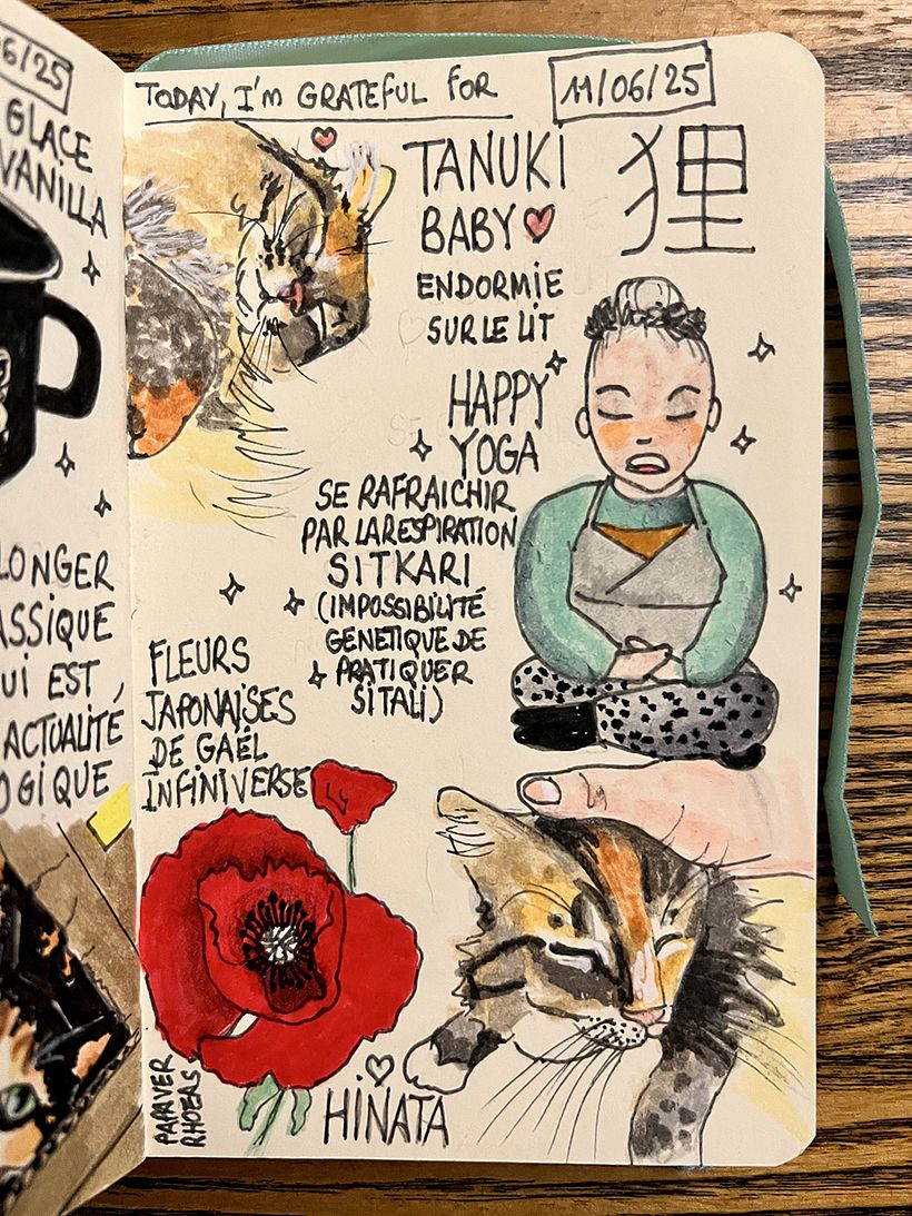 Carnet de gratitude : June 2025 sketchbook 1