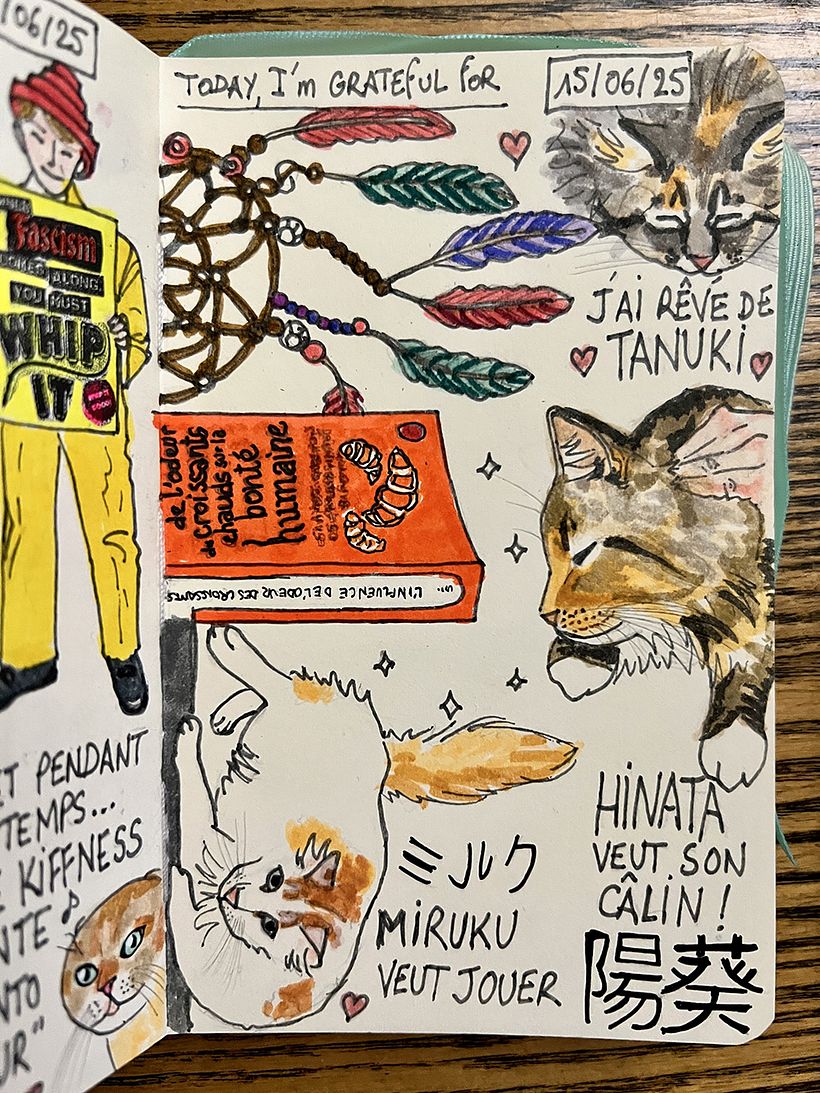 Carnet de gratitude : June 2025 sketchbook 1