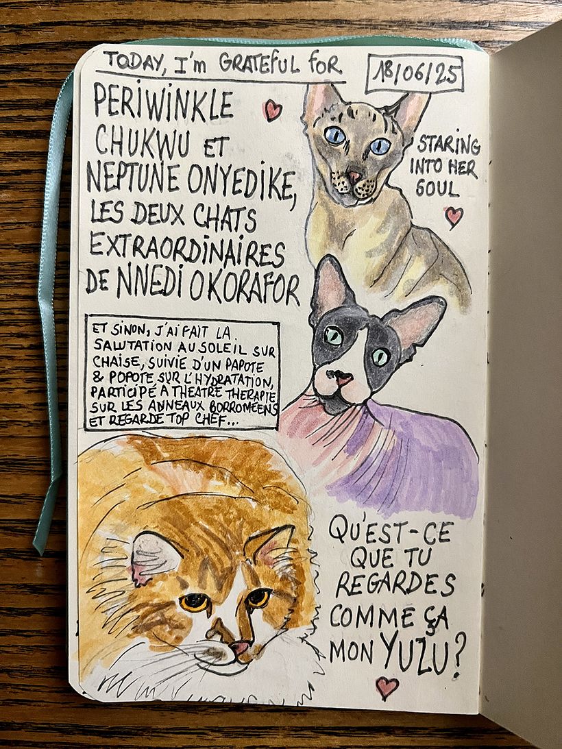Carnet de gratitude : June 2025 sketchbook 1