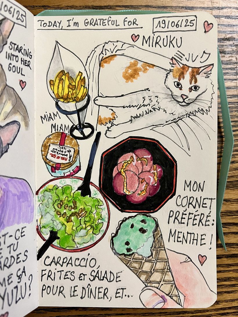 Carnet de gratitude : June 2025 sketchbook 1